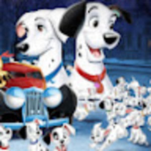 Meet your Posher, Shirin